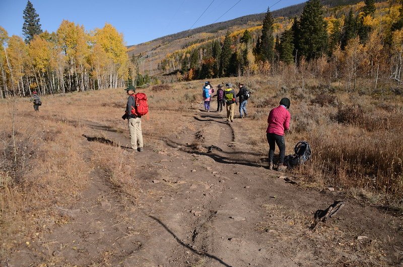 The ridge trail &amp; slope trail junction on the Ptarmigan Peak Trail 1