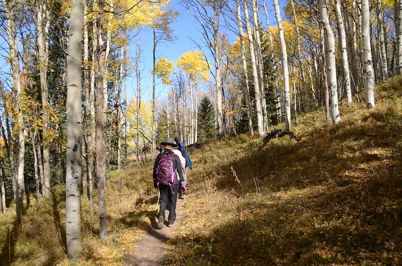 Fall foliage hike at Ptarmigan Peak Trail, Colorado (28)