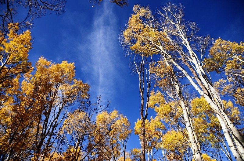 Fall foliage hike at Ptarmigan Peak Trail, Colorado (39)