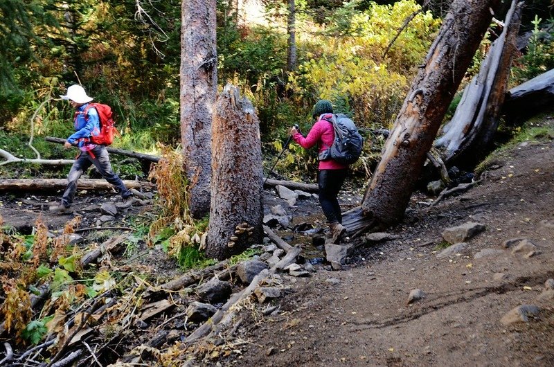 Fall foliage hike at Ptarmigan Peak Trail, Colorado (53)