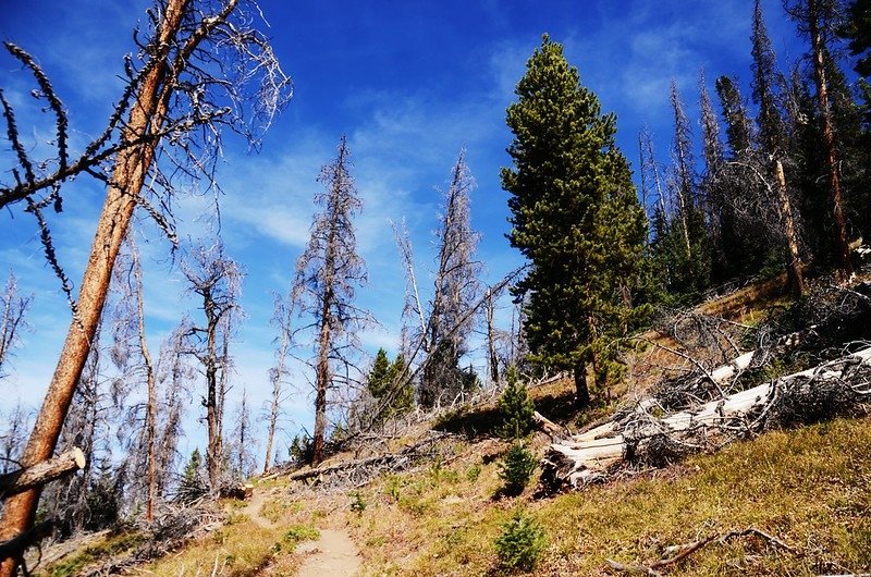 Fall foliage hike at Ptarmigan Peak Trail, Colorado (67)