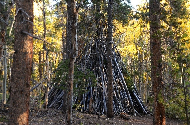 Fall foliage hike at Colorado Trail, Kenosha Pass  (4)