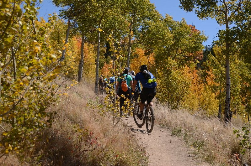 Fall foliage hike at Colorado Trail, Kenosha Pass  (222)