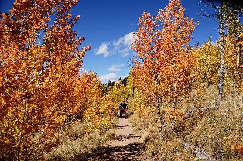 Fall foliage hike at Colorado Trail, Kenosha Pass  (230)