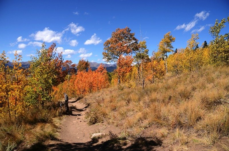 Fall foliage hike at Colorado Trail, Kenosha Pass  (236)