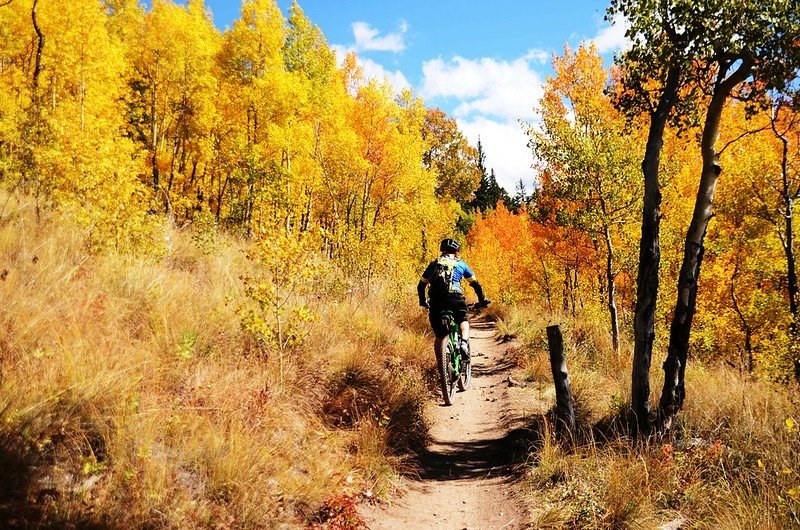 Fall foliage hike at Colorado Trail, Kenosha Pass (9)