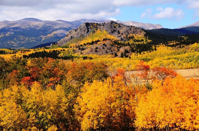 Fall foliage hike at Colorado Trail, Kenosha Pass (1)