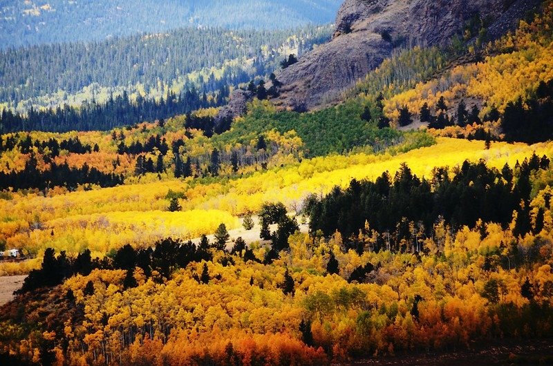 Fall foliage hike at Colorado Trail, Kenosha Pass (6)