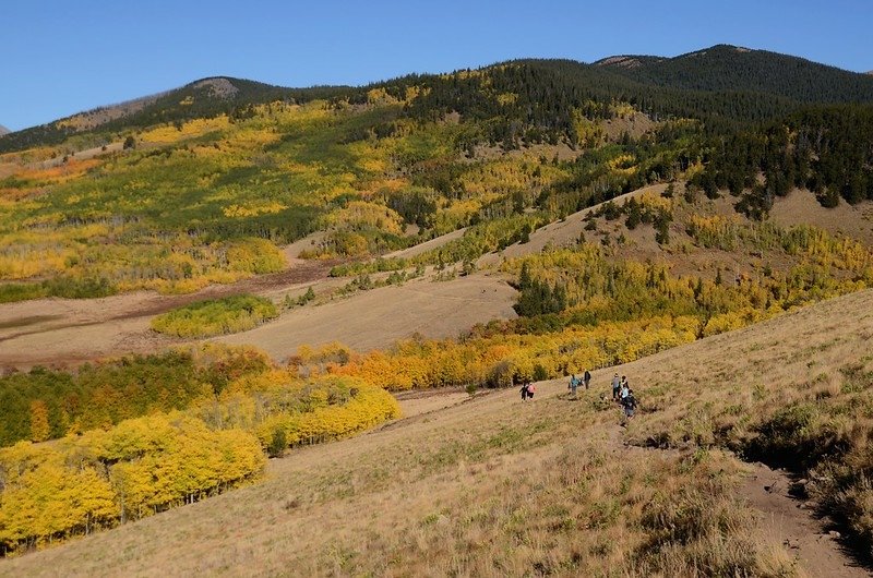 Fall foliage hike at Colorado Trail, Kenosha Pass  (42)