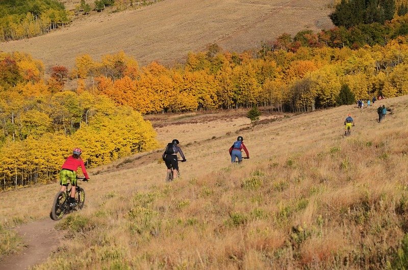 Fall foliage hike at Colorado Trail, Kenosha Pass  (47)