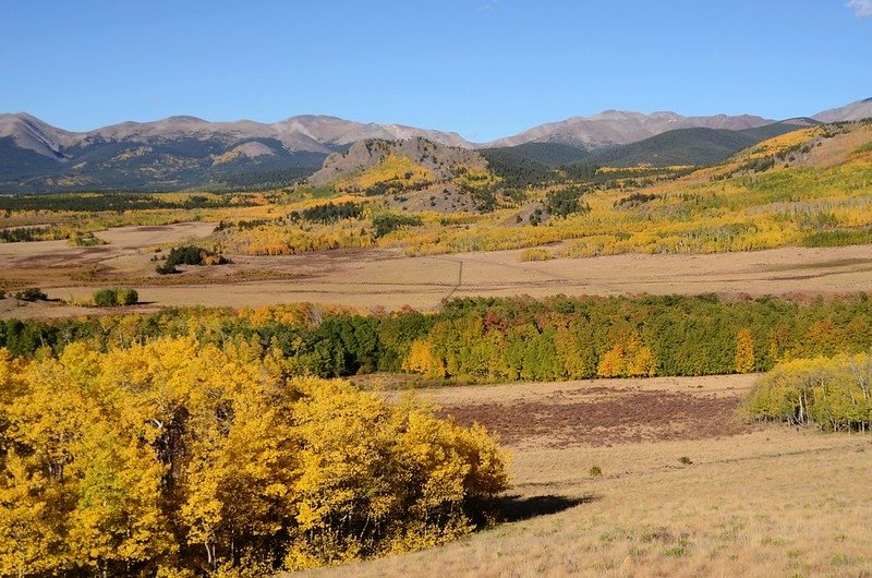 Fall foliage hike at Colorado Trail, Kenosha Pass  (49)