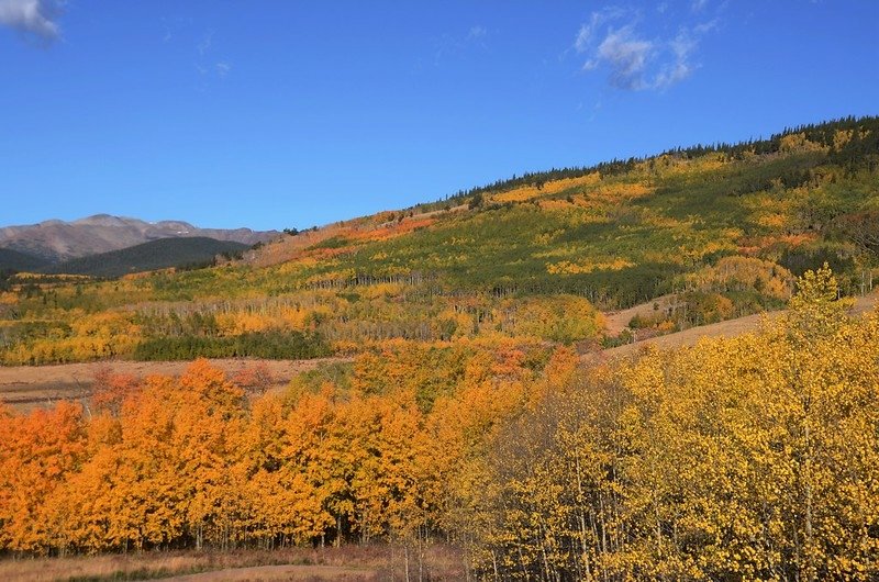 Fall foliage hike at Colorado Trail, Kenosha Pass  (58)