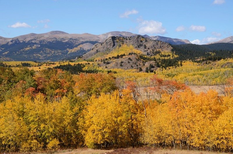 Fall foliage hike at Colorado Trail, Kenosha Pass  (177)