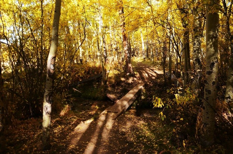 Fall foliage hike at Colorado Trail, Kenosha Pass  (66)