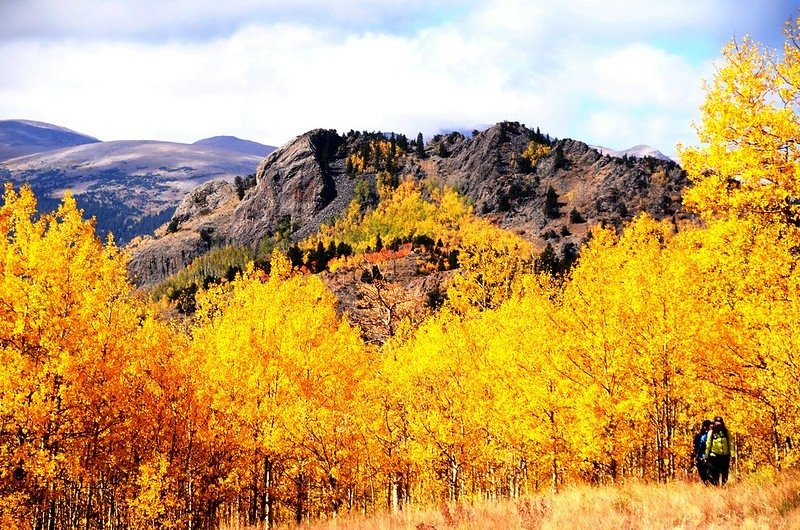 Fall foliage hike at Colorado Trail, Kenosha Pass (4)