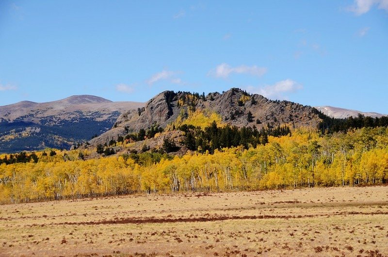 Fall foliage hike at Colorado Trail, Kenosha Pass  (167)