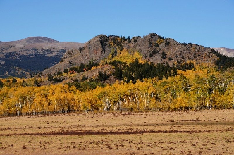 Jefferson Hill, Colorado Trail, Kenosha Pass (2)