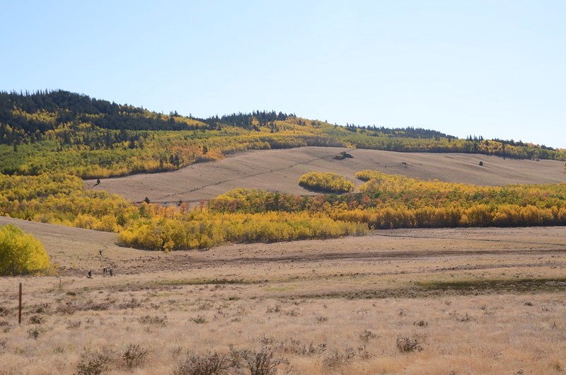 Fall foliage hike at Colorado Trail, Kenosha Pass  (83)