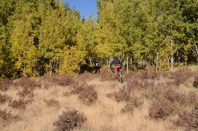 Fall foliage hike at Colorado Trail, Kenosha Pass  (85)