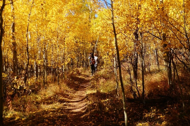 Fall foliage hike at Colorado Trail, Kenosha Pass  (99)