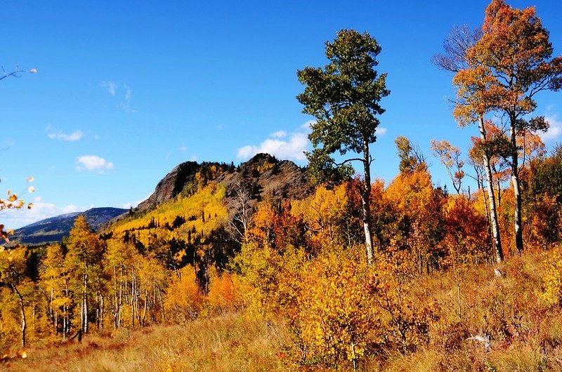 Jefferson Hill, Colorado Trail, Kenosha Pass (28)