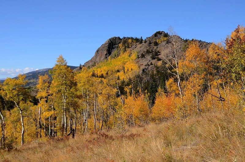 Jefferson Hill, Colorado Trail, Kenosha Pass (6)