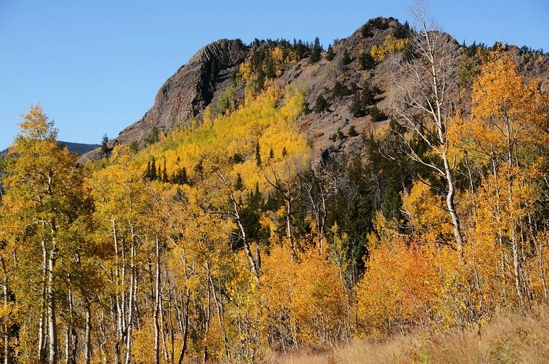 Jefferson Hill, Colorado Trail, Kenosha Pass (7)