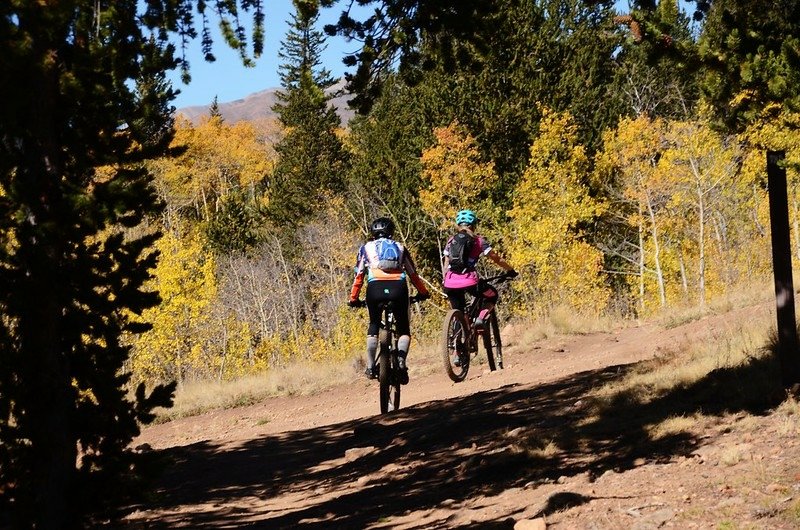 Fall foliage hike at Colorado Trail, Kenosha Pass  (140)