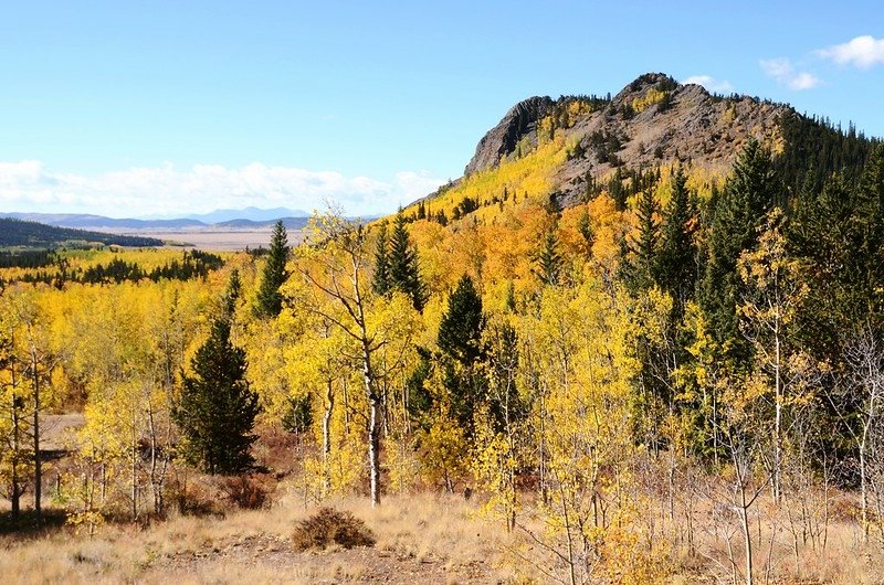 Jefferson Hill, Colorado Trail, Kenosha Pass (21)