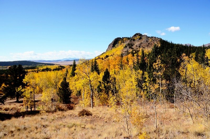 Jefferson Hill, Colorado Trail, Kenosha Pass (22)