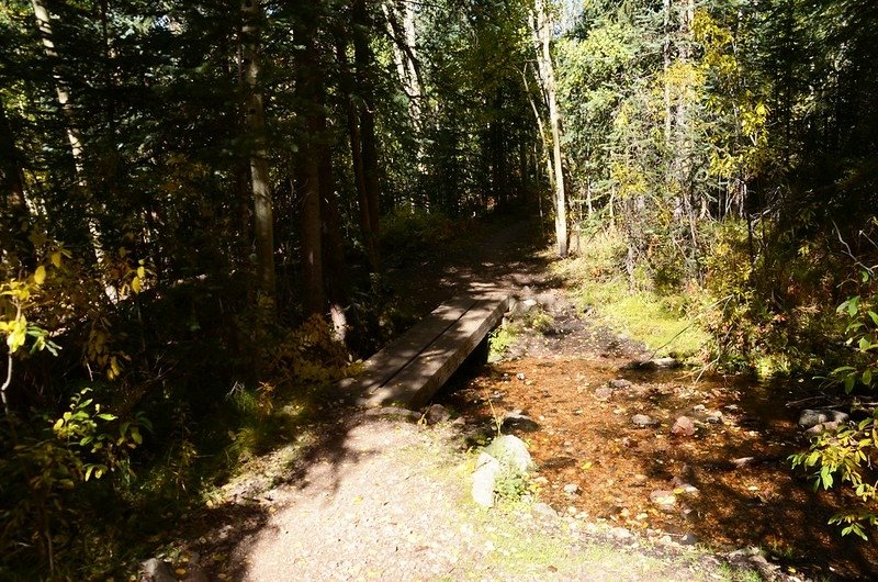 Fall foliage hike at Colorado Trail, Kenosha Pass  (137)