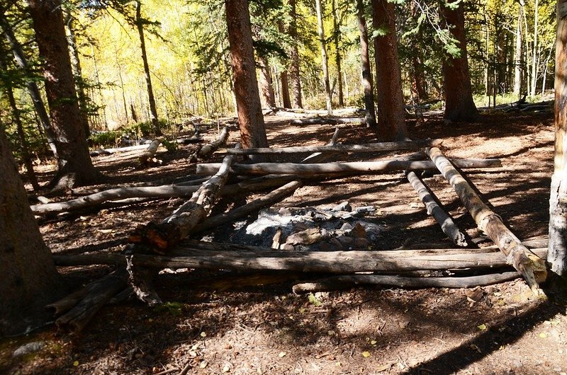 Fall foliage hike at Colorado Trail, Kenosha Pass  (138)