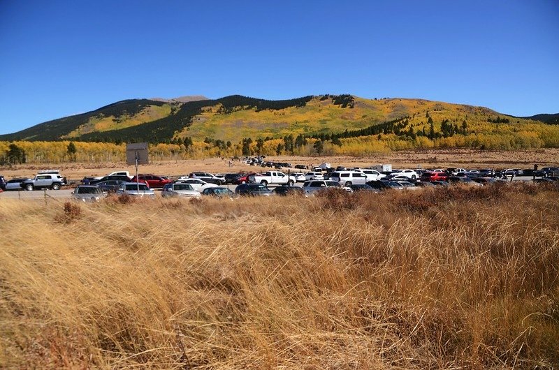 Fall Foliage in Kenosha Pass, Colorado (7)