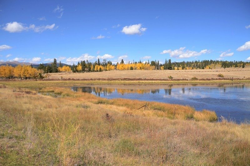 Fall Foliage in Kenosha Pass, Colorado  (2)