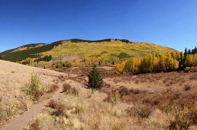 Fall Foliage in Kenosha Pass, Colorado (49)