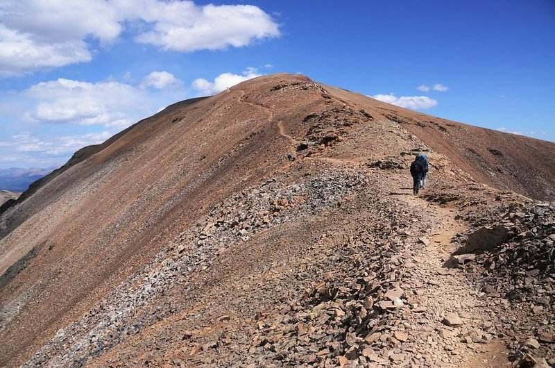 On the way up to Mount Cameron (7)