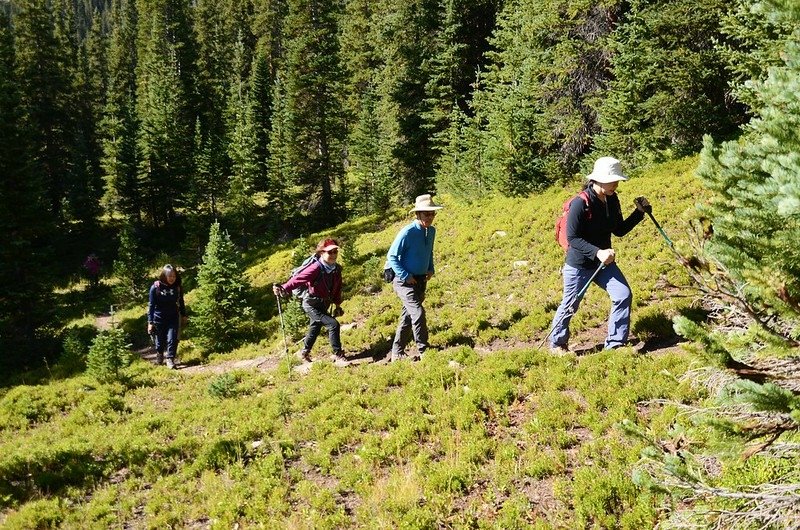 Current Creek Trail, Colorado (4)