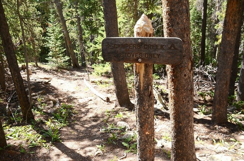 Campers Creek campsite junction, Sandbeach Lake Trail (1)