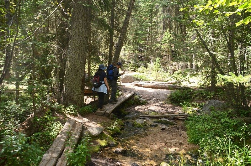 Campers Creek, Sandbeach Lake Trail (2)