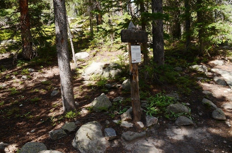 Hunters Creek campsite junction, Sandbeach Lake Trail (1)