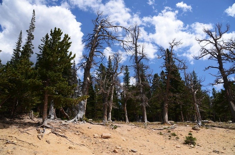 Sandbeach Lake, RMNP, Colorado (4)