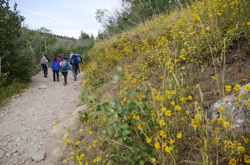 Jasper Lake Trail, Colorado (16)