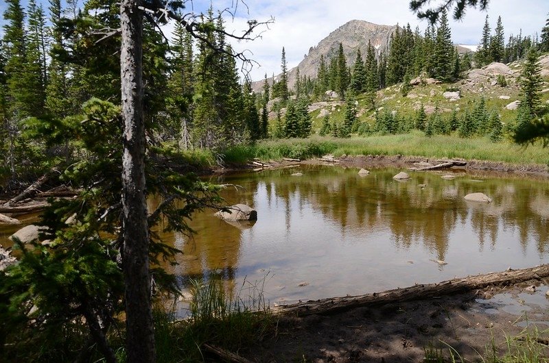 Unnamed pond below Jasper Lake (2)