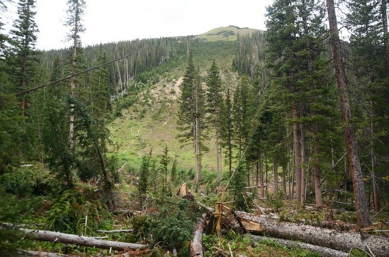 Ruby Gulch Trail, Empire, Colorado (11)