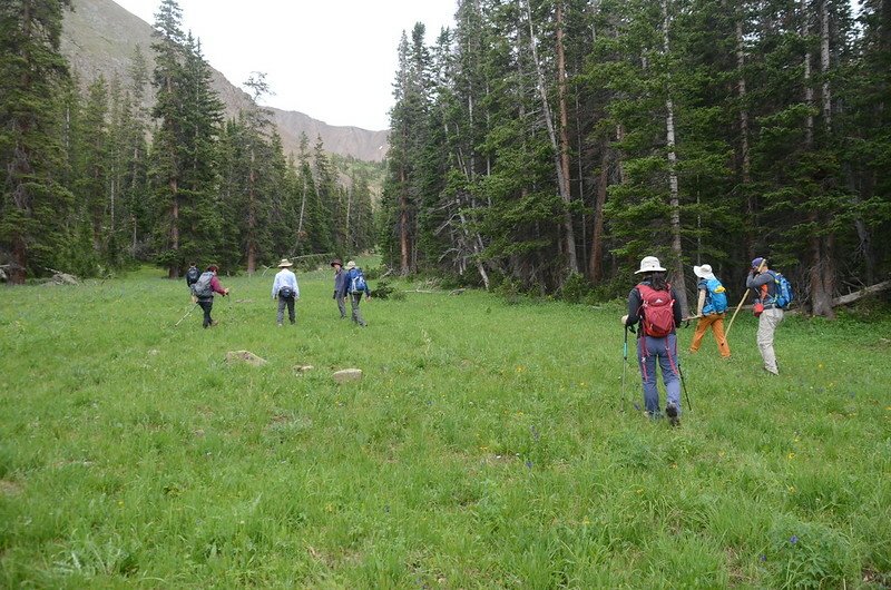 The meadow at Ruby Gulch below  Robeson Peak (4)