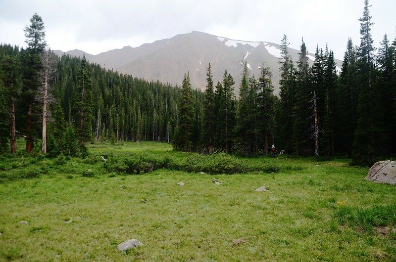 Mount Parnassus from the meadow below  Robeson Peak (2)