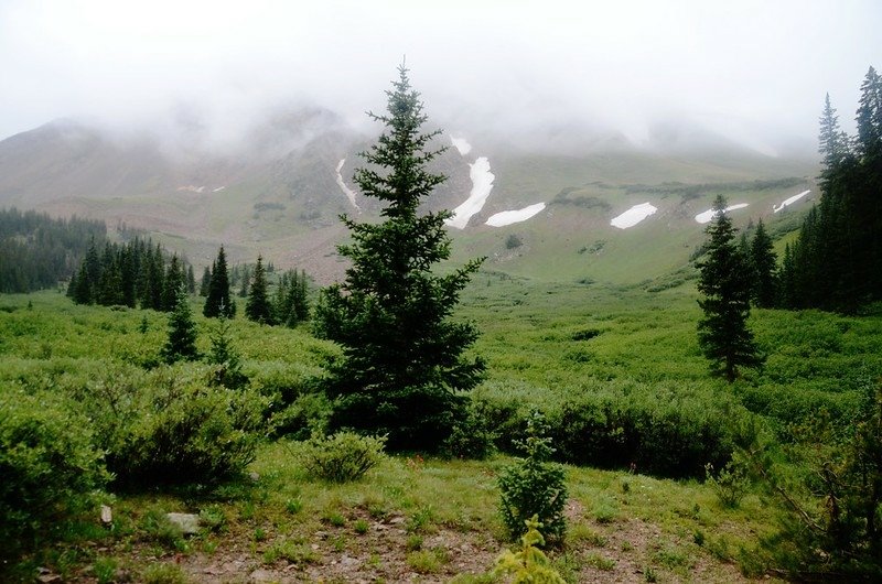 Ruby Gulch Trail, Empire, Colorado (123)