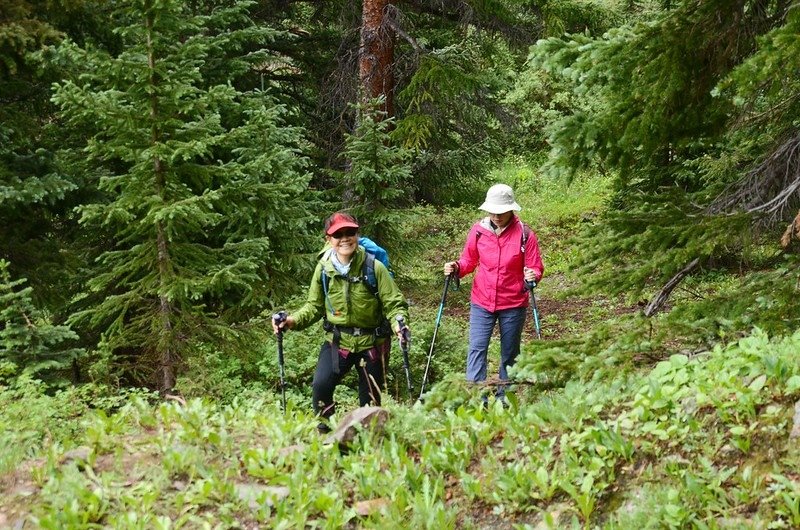 Ruby Gulch Trail, Empire, Colorado (78)