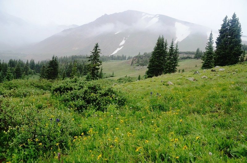 Looking southwest at Mount Parnassus from Ruby Creek Basin (6)