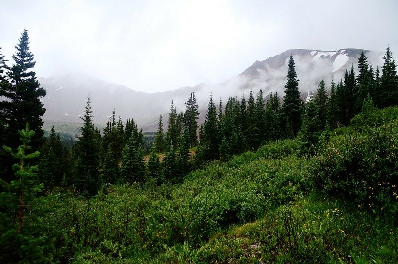 Ruby Gulch Trail, Empire, Colorado (83)